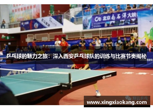 乒乓球的魅力之旅：深入西安乒乓球队的训练与比赛节奏揭秘