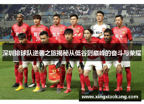 深圳排球队逆袭之旅揭秘从低谷到巅峰的奋斗与荣耀