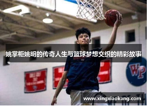 姚掌柜姚明的传奇人生与篮球梦想交织的精彩故事