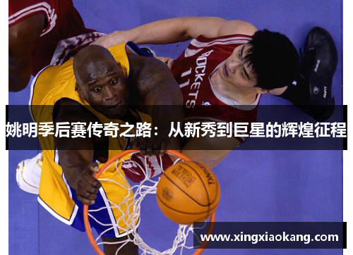 姚明季后赛传奇之路：从新秀到巨星的辉煌征程
