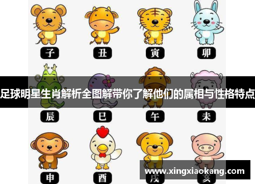 足球明星生肖解析全图解带你了解他们的属相与性格特点