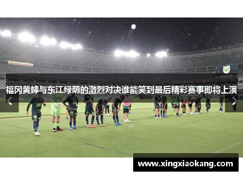 福冈黄蜂与东江绿荫的激烈对决谁能笑到最后精彩赛事即将上演