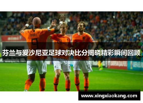 芬兰与爱沙尼亚足球对决比分揭晓精彩瞬间回顾